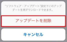 アップデートを削除してiOS 16/15を再インストールする