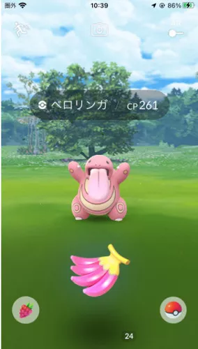 ナナのみを使用